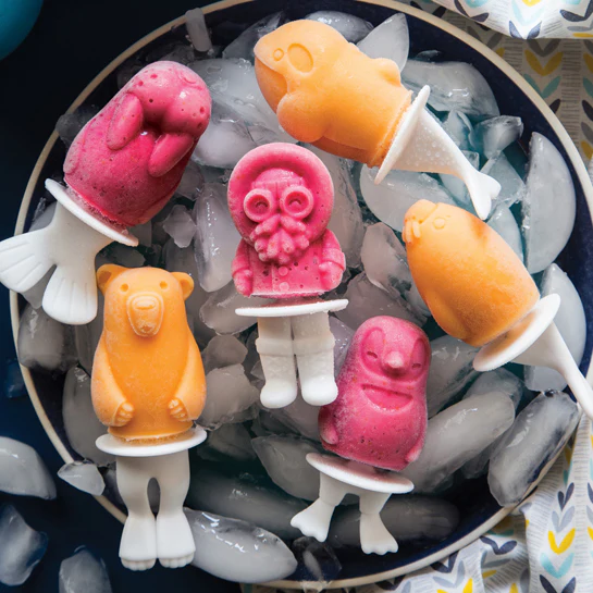 Polar Pop Molds - Image 7